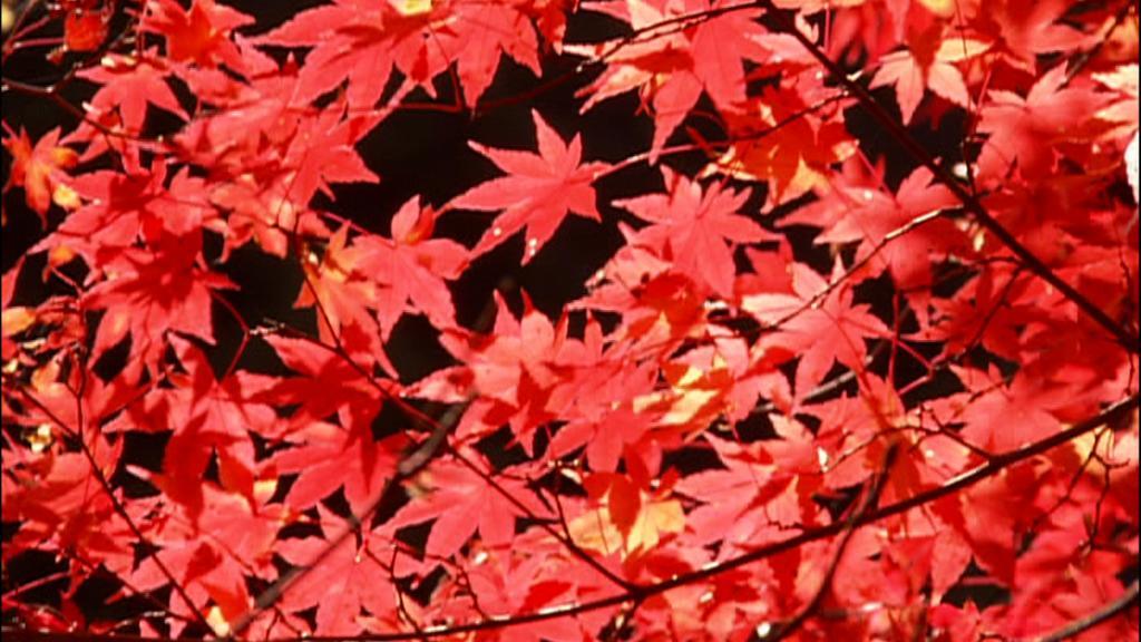 Dormy Inn Kurashiki Natural Hot Spring Luaran gambar